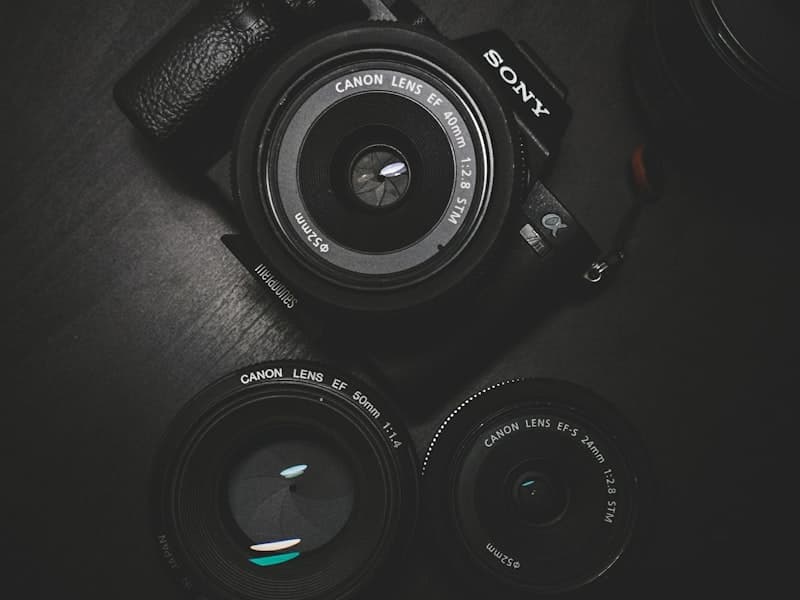 Professional Photography